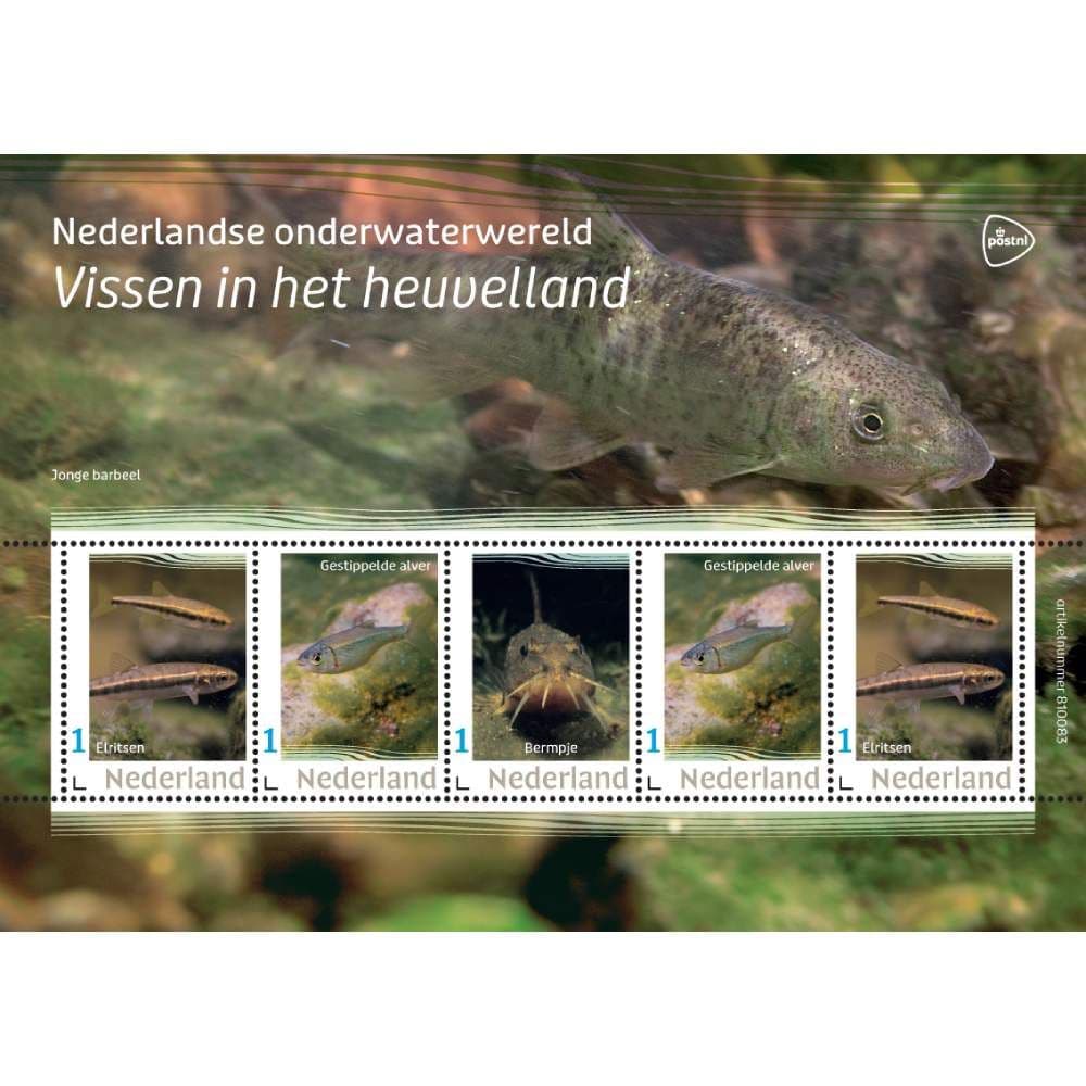 Nederlandse onderwaterwereld – Vissen in het heuvelland (postzegelvel)