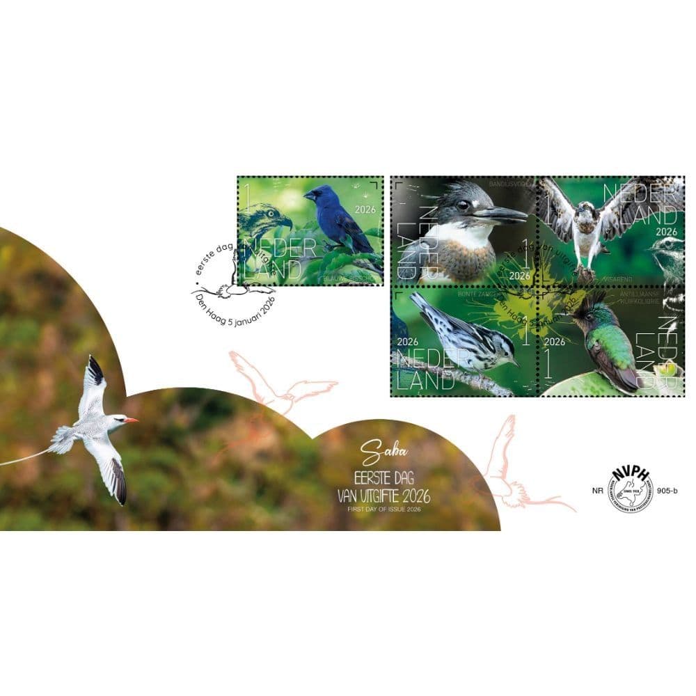 Beleef de natuur - vogels Saba (eerstedagenvelop nr. 905b)